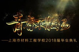 項(xiàng)目匯報(bào)片九